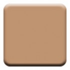 tcamel_2169