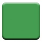 tcitrus_2205